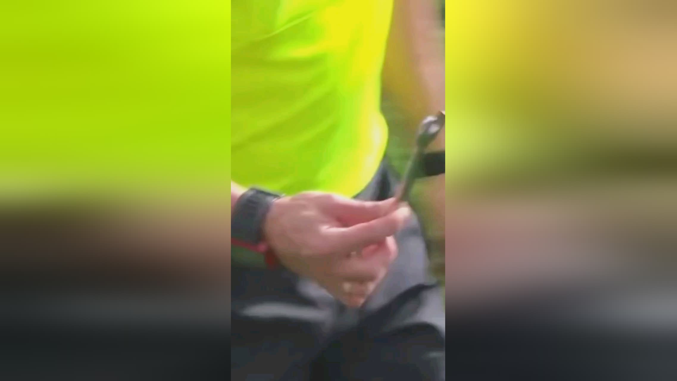 点深